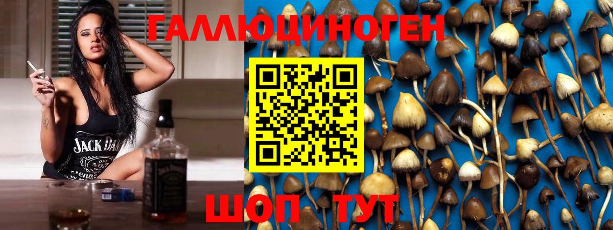 Псилоцибиновые грибы MAGIC MUSHROOMS  Вход с VPN  где продают   Псилоцибиновые грибы прущие грибы  Елабуга 